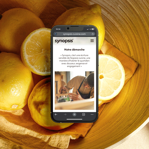 Webdesign et logo pour Synopsis, la fabrique des cuisines durables, avec Ludovic Avenel, ébéniste designer à Paris